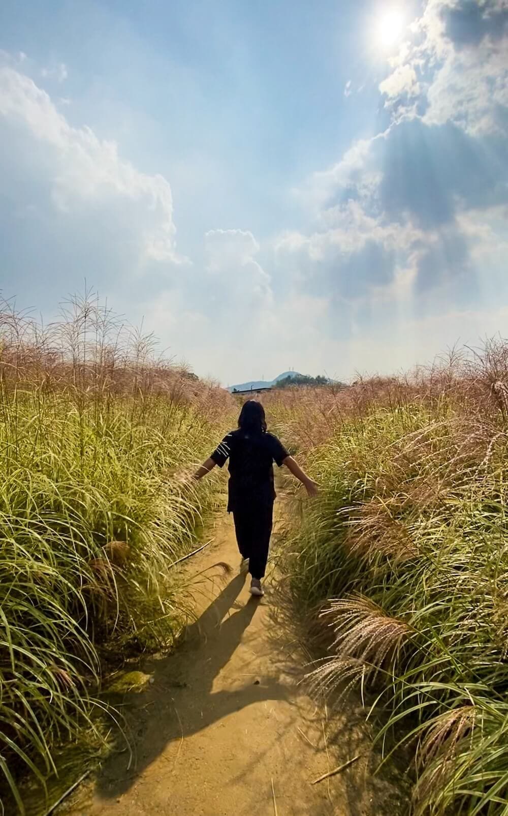 yangju nari farm in october