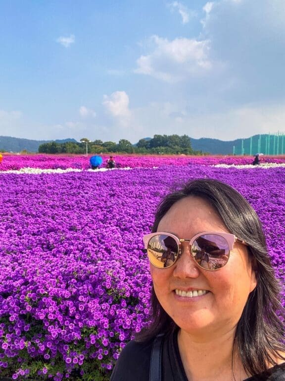 Autumn Flowers in South Korea: 15 Fantastic Fall Festivals (with Naver Map Links!) 13 cheongilhong festival at yangju nari farm | globe amaranth