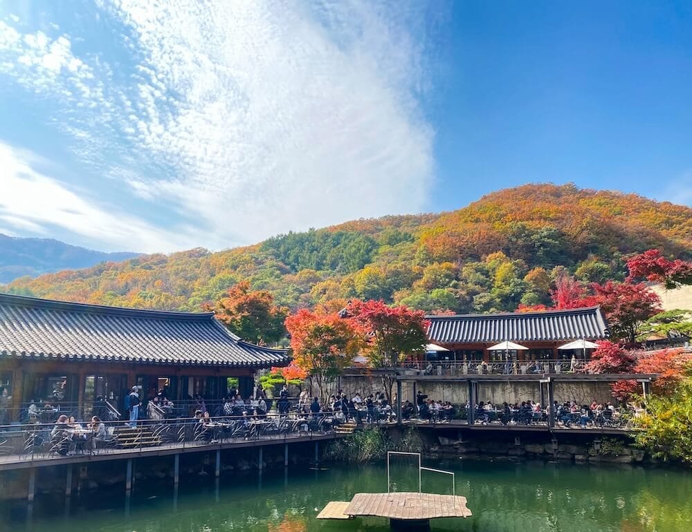 Hwadam Botanic Garden is a 4-Season Beauty, but Autumn is TRULY Dazzling 6 hwadam botanic garden