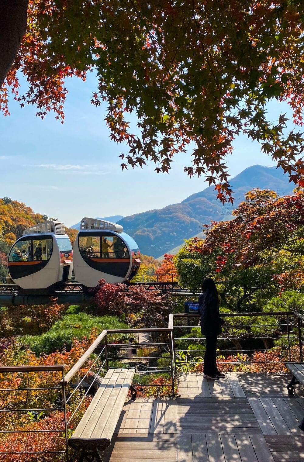 Hwadam Botanic Garden is a 4-Season Beauty, but Autumn is TRULY Dazzling 36 hwadam botanic garden monorail