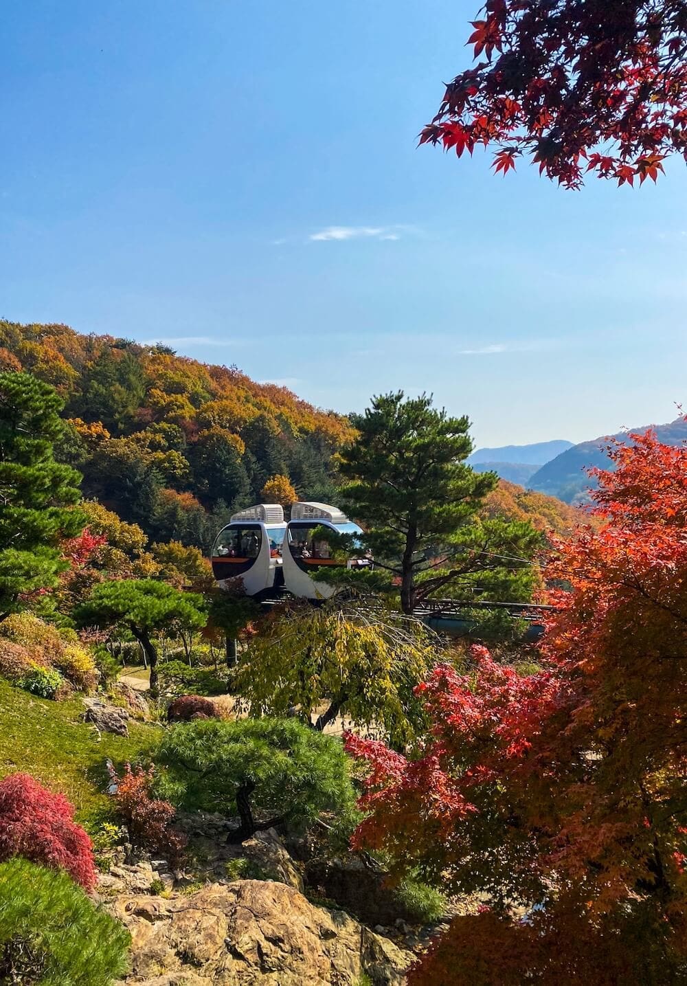 Hwadam Botanic Garden is a 4-Season Beauty, but Autumn is TRULY Dazzling 32 hwadam botanic garden monorail in autumn
