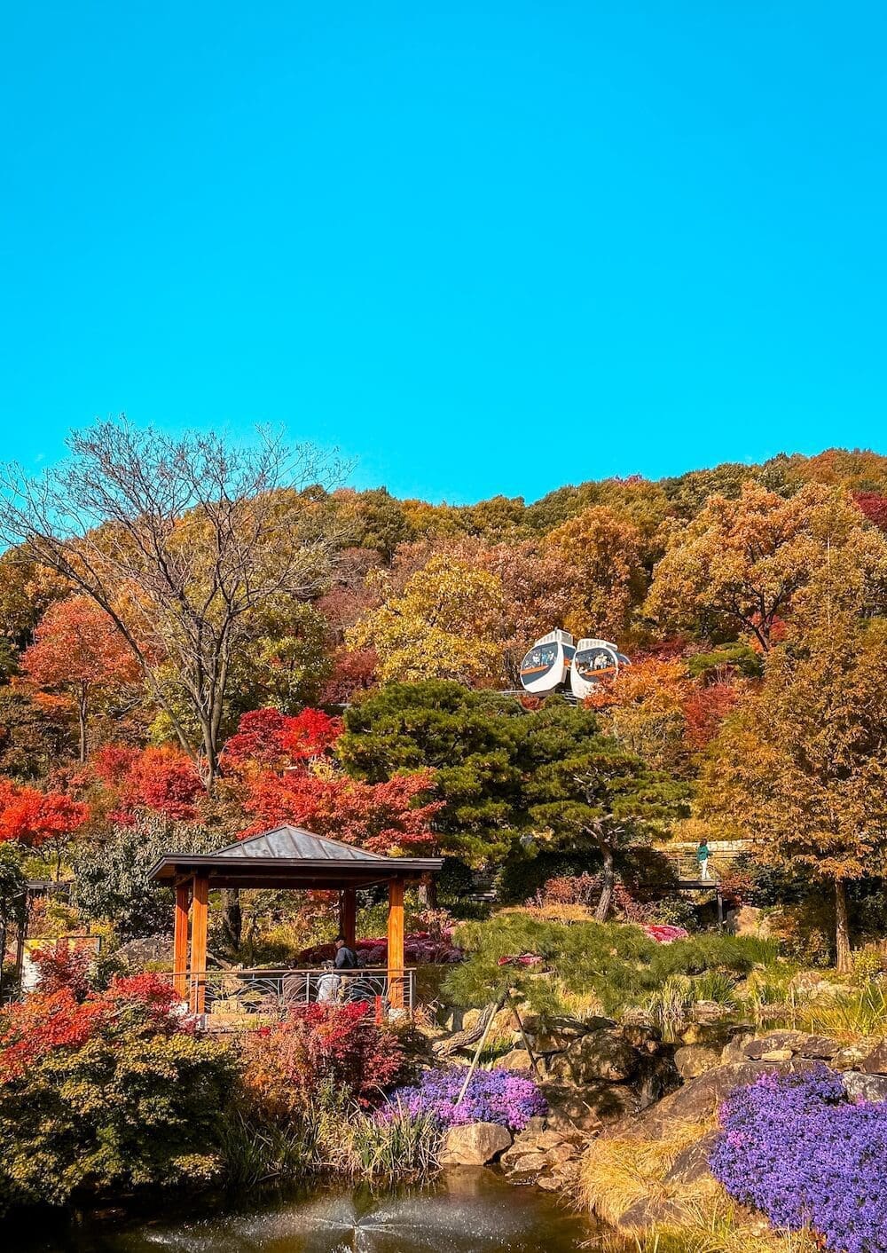 Hwadam Botanic Garden is a 4-Season Beauty, but Autumn is TRULY Dazzling 35 hwadam botanic garden monorail