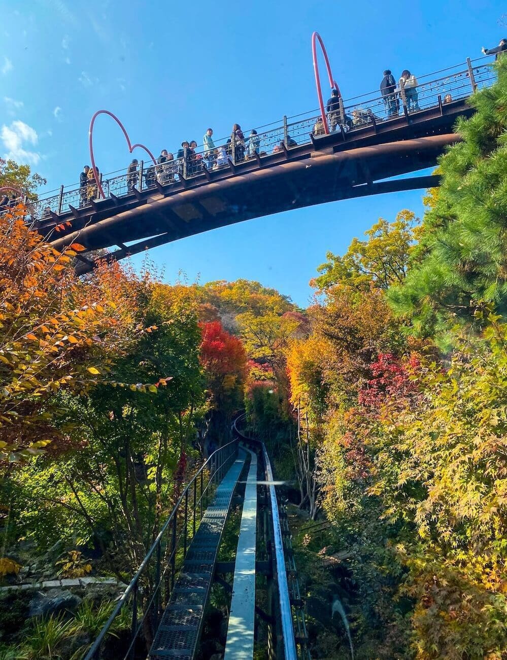 Hwadam Botanic Garden is a 4-Season Beauty, but Autumn is TRULY Dazzling 25 hwadam botanic garden gwangju korea