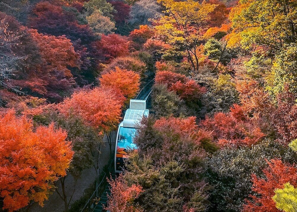 Hwadam Botanic Garden is a 4-Season Beauty, but Autumn is TRULY Dazzling 4 hwadam botanic garden in autumn
