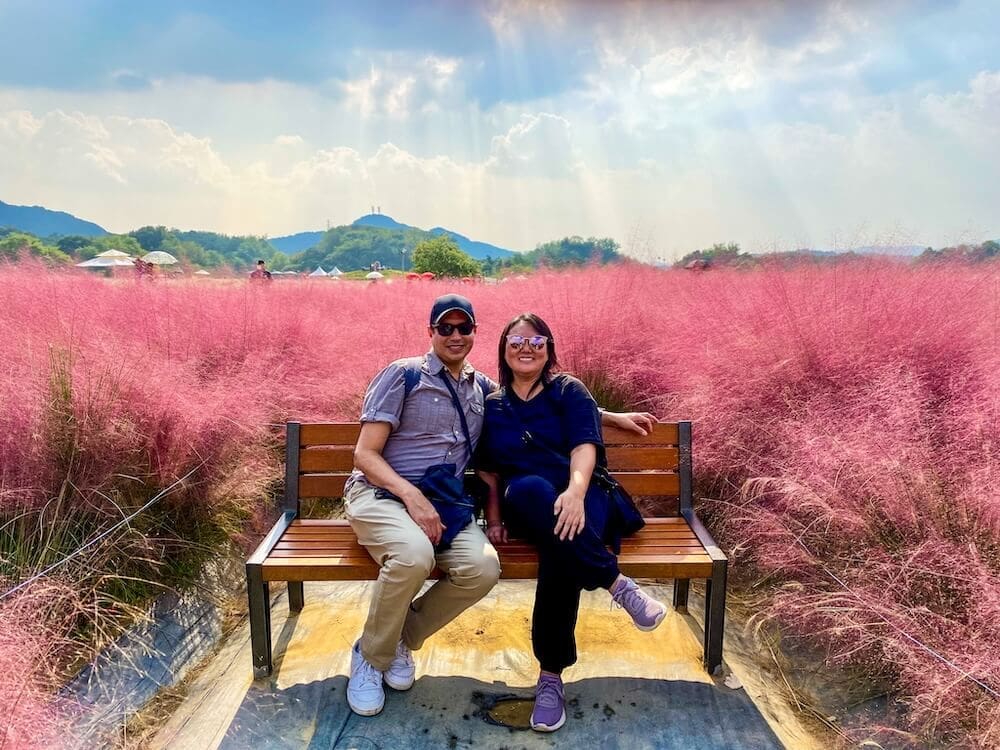 pink muhly in korea | yangju nari park