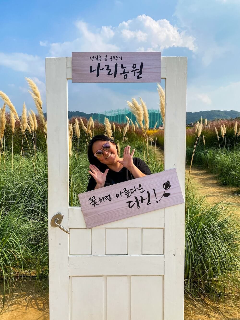 korea in october | yangju nari park