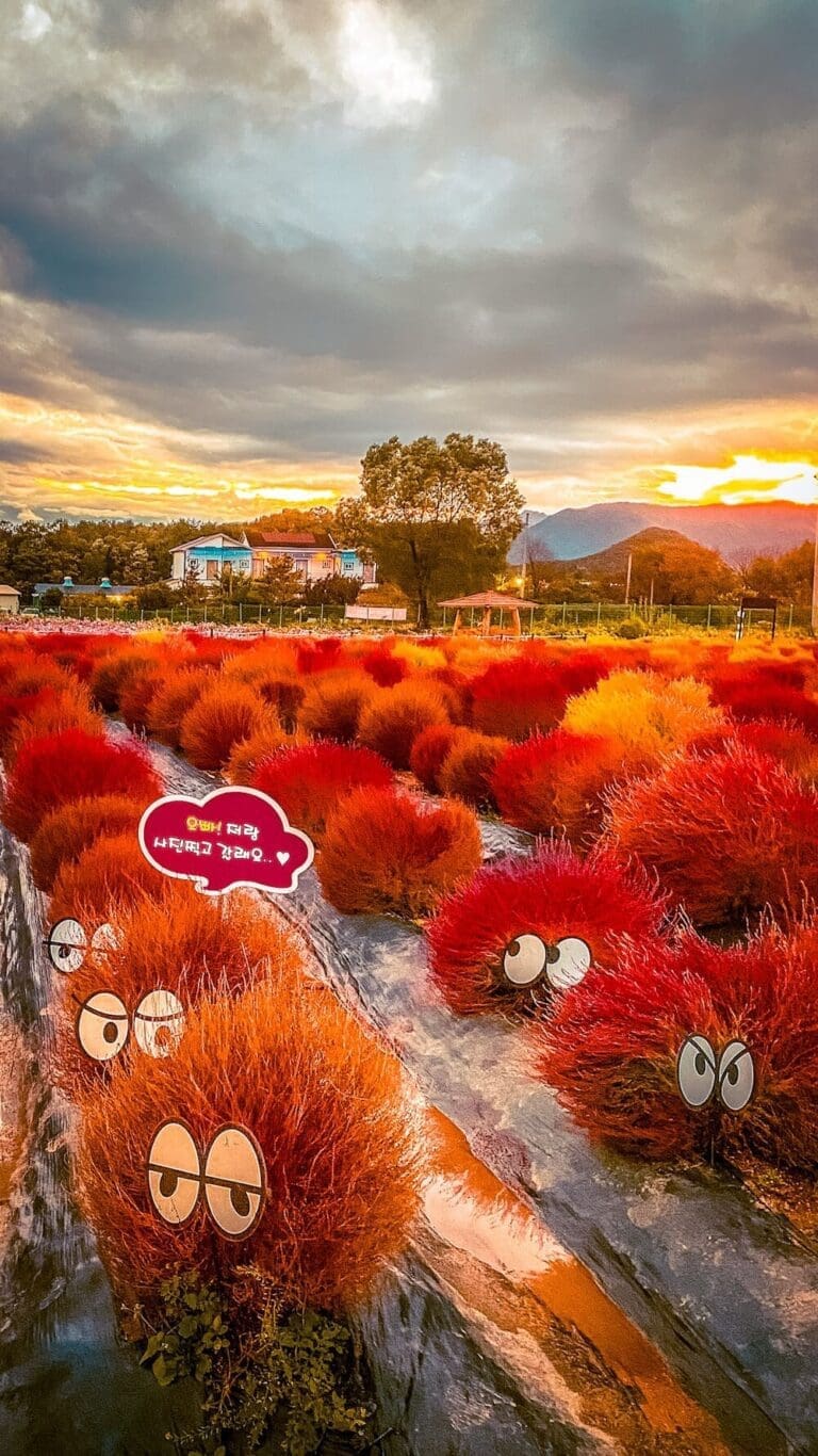 autumn in seoul | goseokjeong flower garden