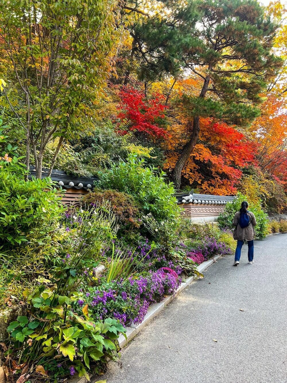 Hwadam Botanic Garden is a 4-Season Beauty, but Autumn is TRULY Dazzling 33 hwadam botanic garden in gwangju