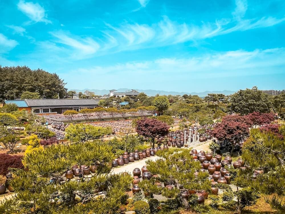 goseurak hangari park