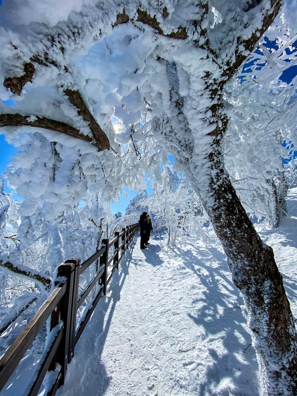 yongpyong resort | balwangsan mountain cable car