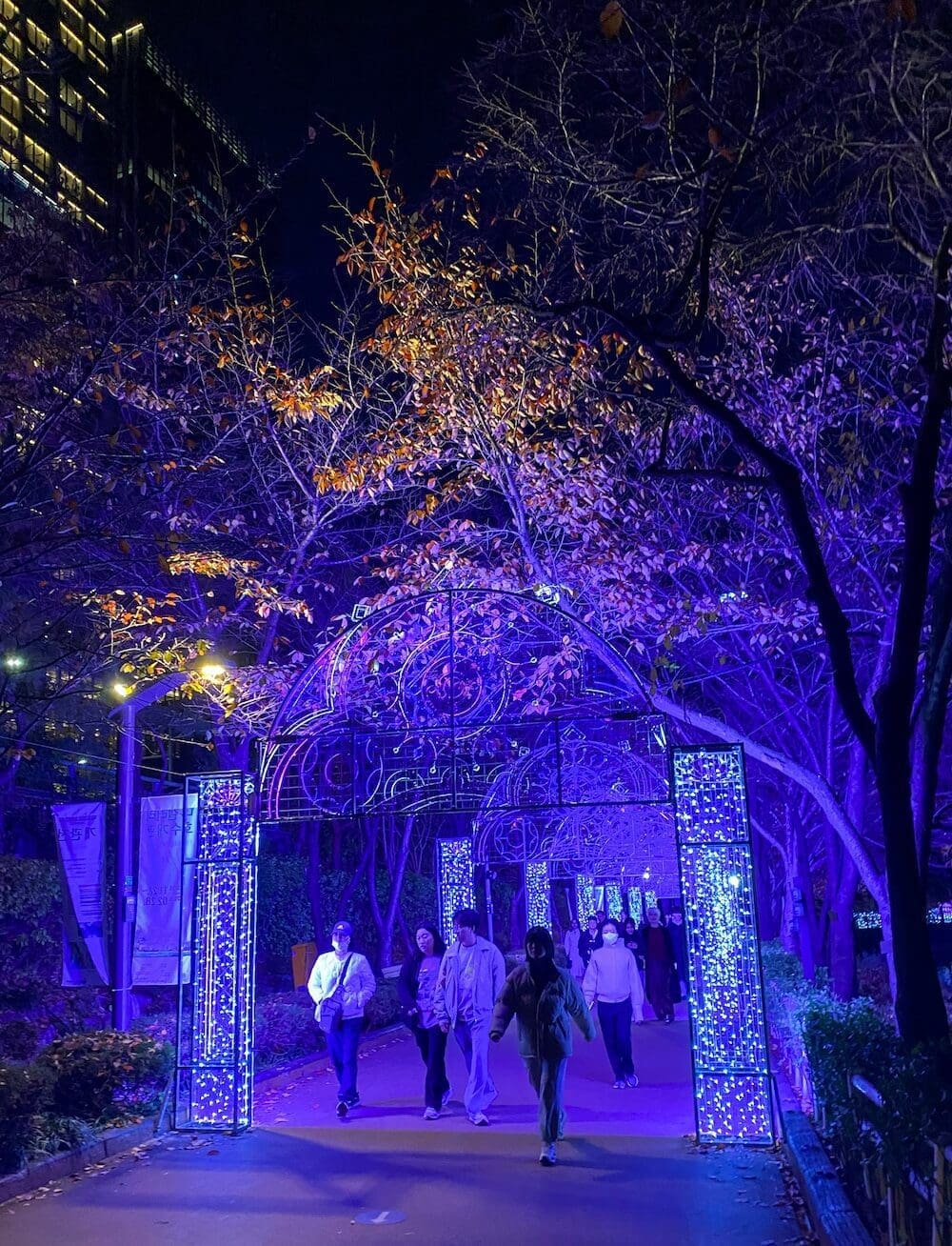 Christmas in Seoul 2026 | The 26 Best Festive Things to Do in Seoul for Christmas 9 christmas in seoul | luminarie at seokchon lake park