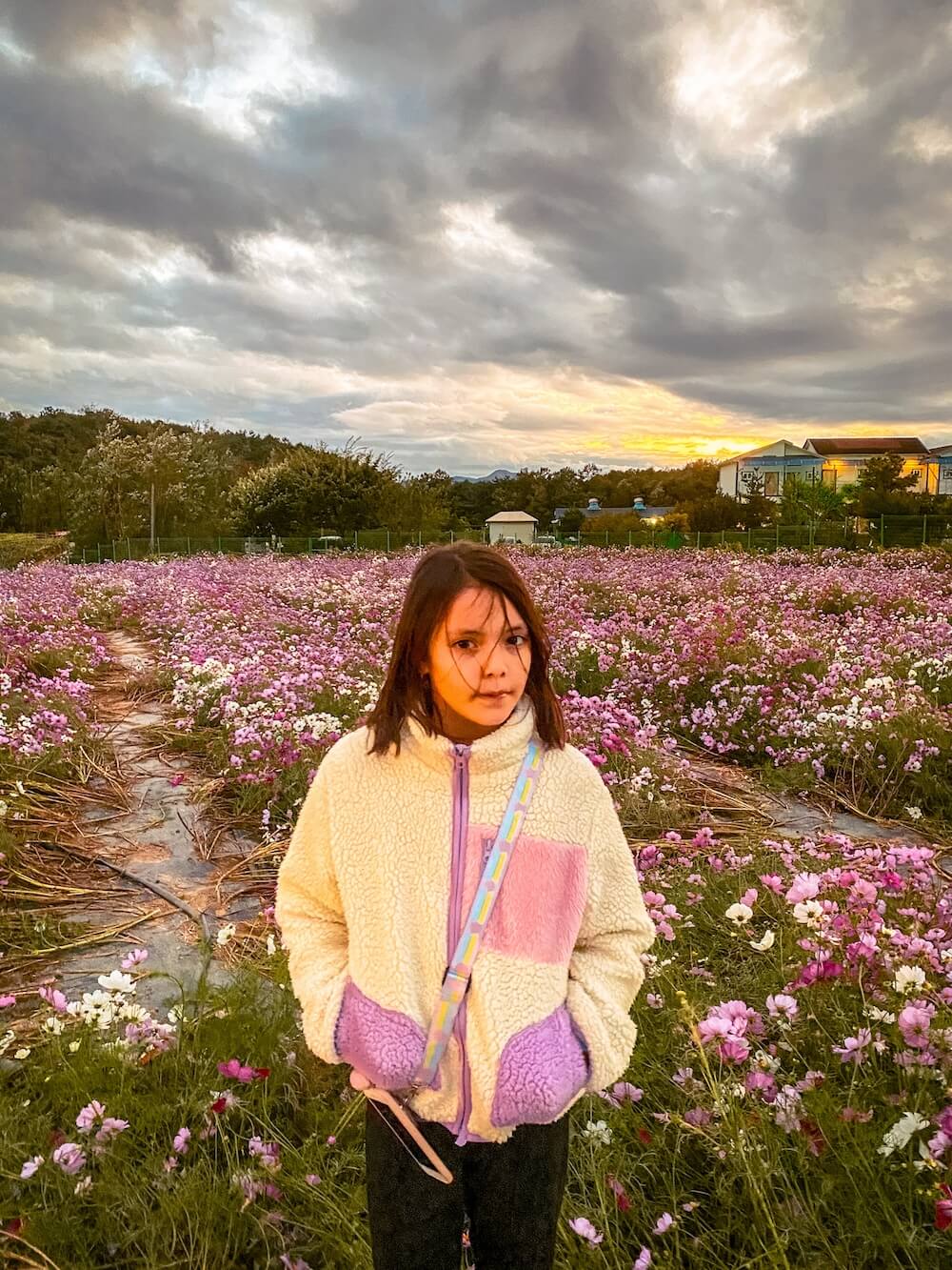 goseokjeong flower garden in october