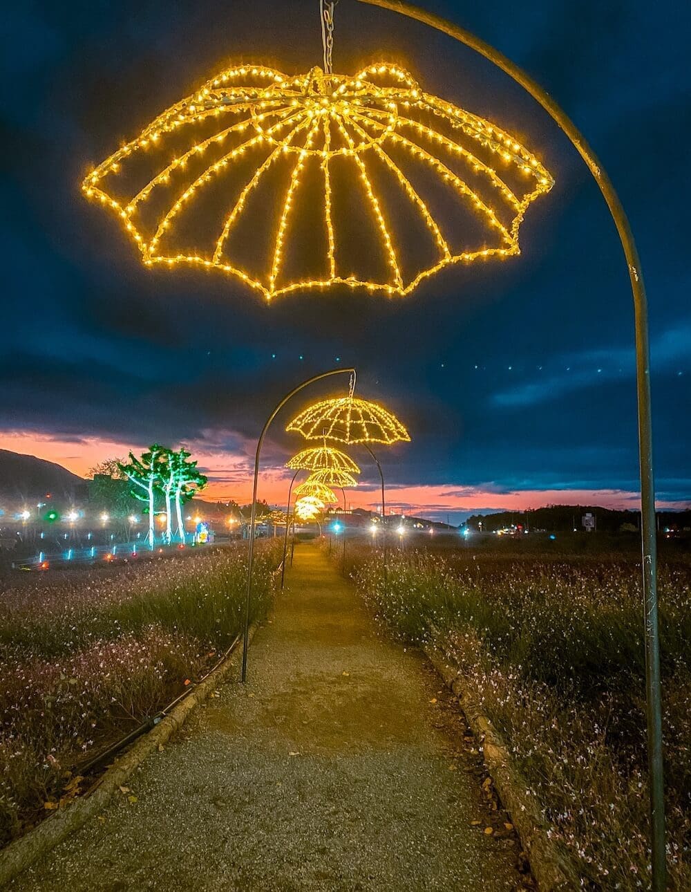 goseokjeong flower garden at night