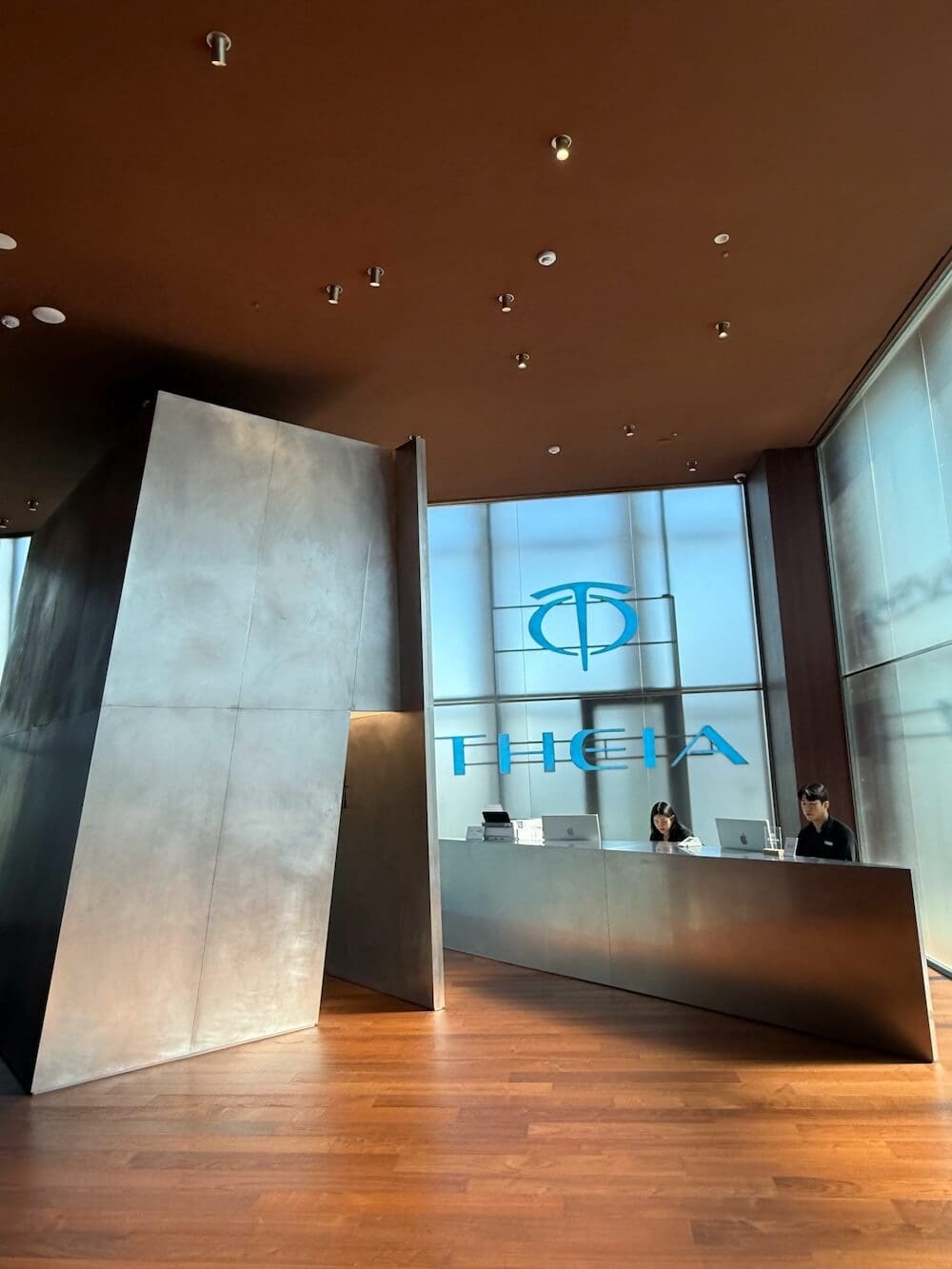 How to Save on Skin Treatments in Korea: Insights From Trying Over 20 Seoul Beauty Clinics Myself 30 skin clinic in seoul | theia clinic